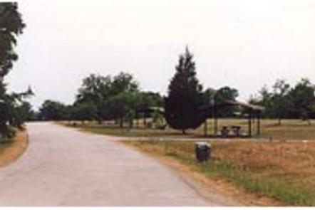 Oak (Navarro Mills Lake)