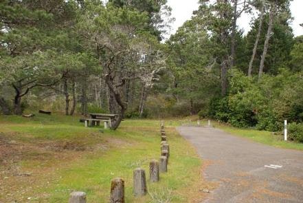 Escape to Oregon's Hidden Gem: Bluebill Campground Adventure