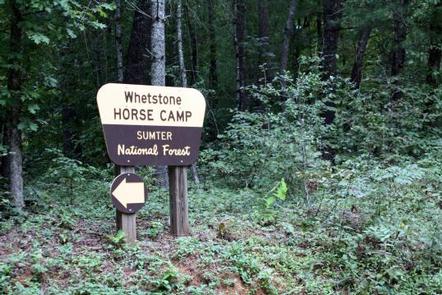willis knob horse camp