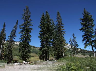 Lodging at Ferron Reservoir in Sanpete County, Utah