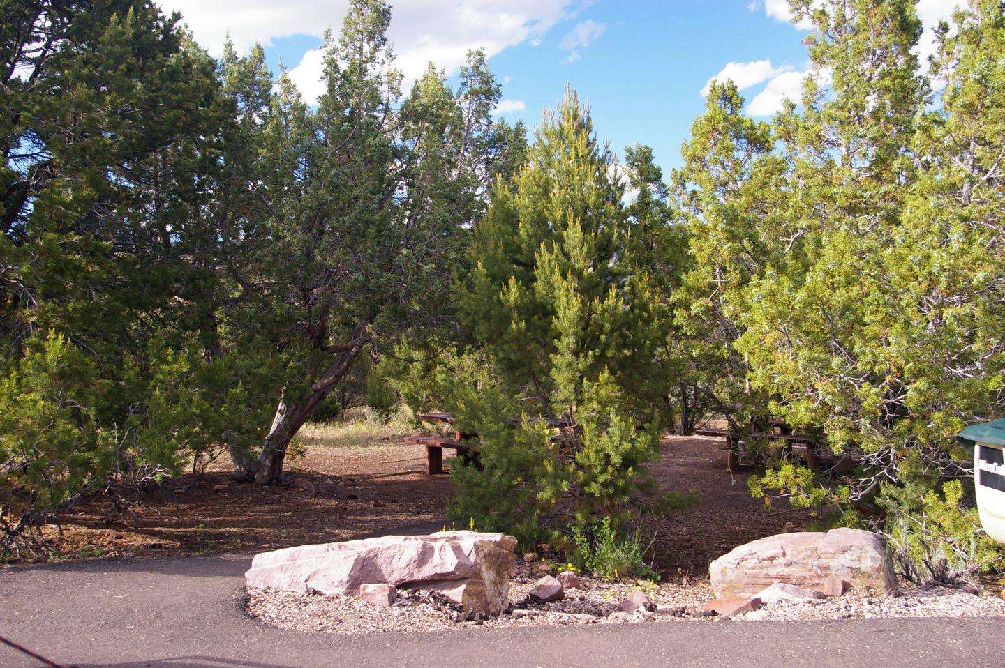 Cedar Springs Campground