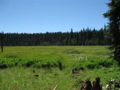 Joe Graham Horse Campground