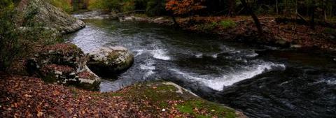 Flatwoods Group Picnic Area