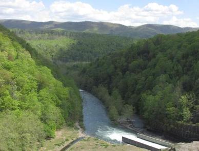 Morris Hill Campground