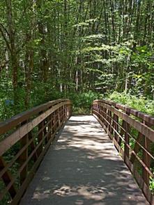 Alsea Falls Recreation Site