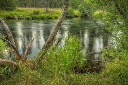 Allingham Campground