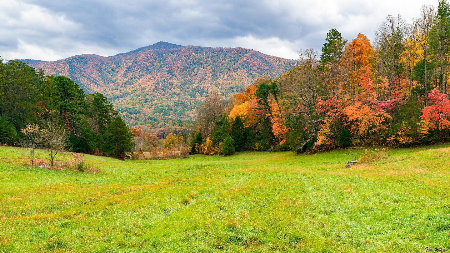 Cades Cove Group