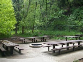 Mueller Park Group Picnic
