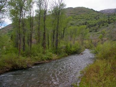 South Fork (Ut)