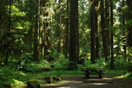 Iron Creek Campground