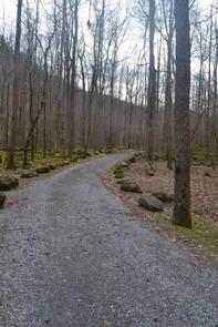 Big Creek Campground (Great Smoky Mountains National Park)