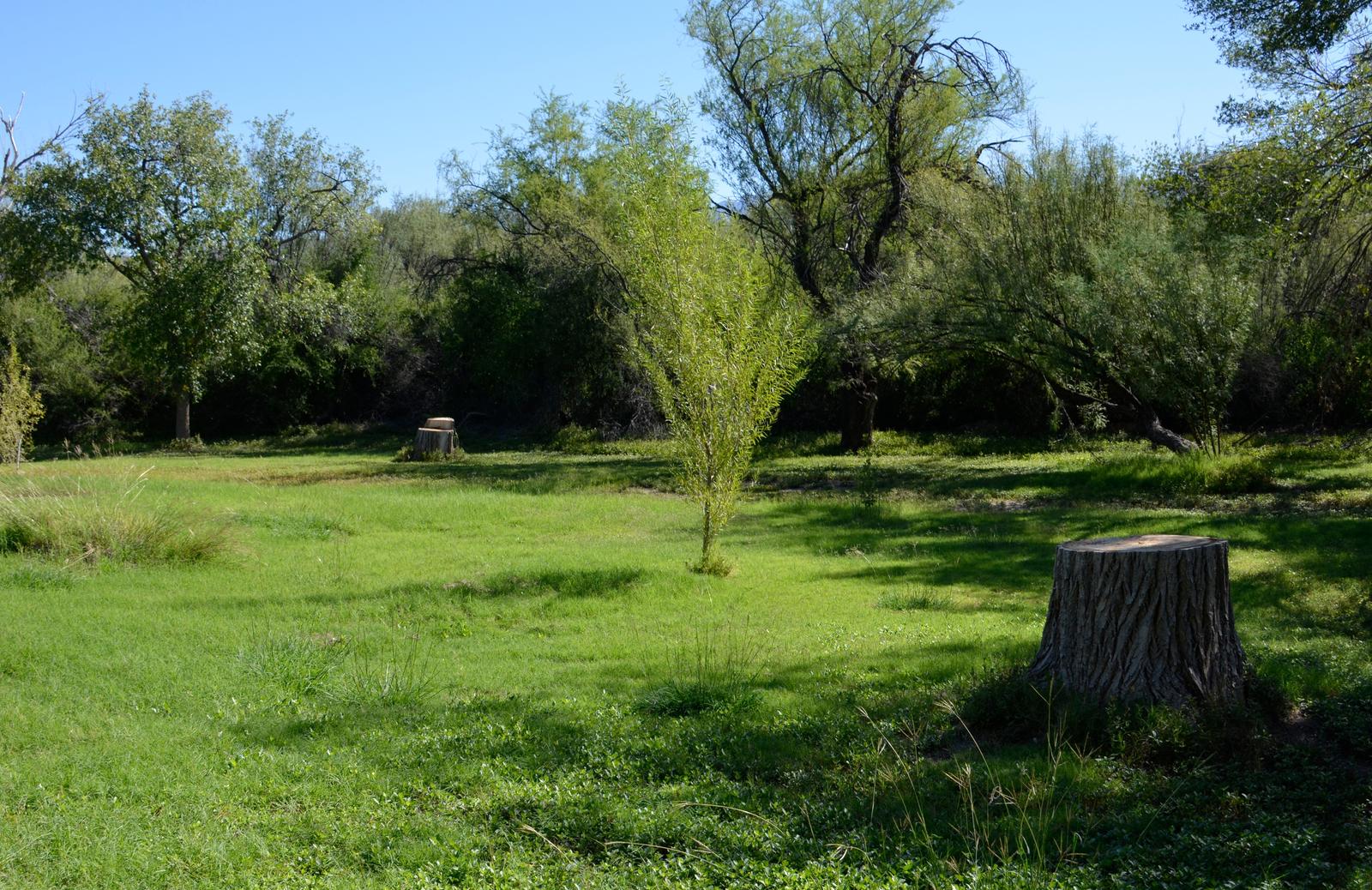 Rio Grande Village (Big Bend)