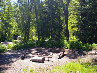 Theater In The Pines