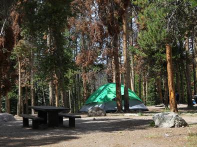 Christmas Meadows Campground
