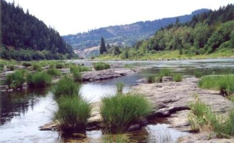 Tyee Campground (Umpqua River)