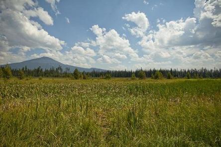 Mallard Marsh Campground