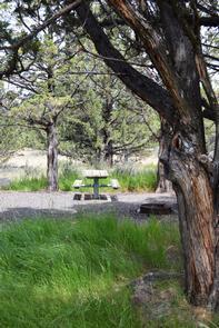 South Steens Campground