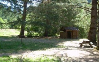 Chinquapin Group Campground