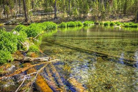 Fall River Campground