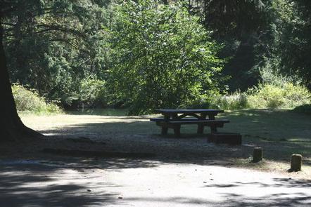Tyee Campground