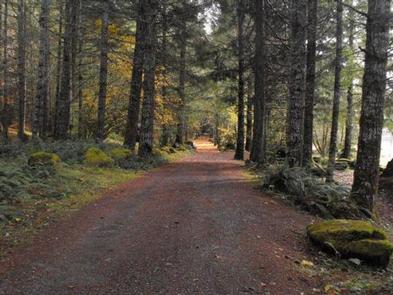 Lodging at Sunnyside Campground in Lane County, Oregon