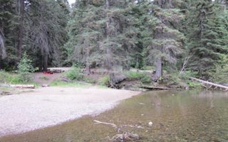 Salmon Cove Group Site