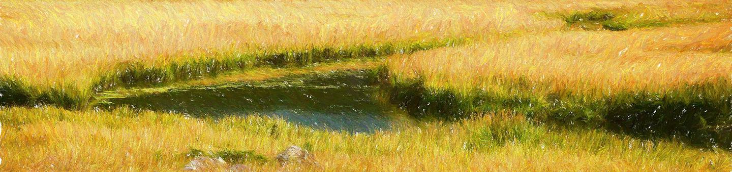 Island Park Campground