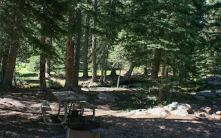 Buffalo Creek Campground