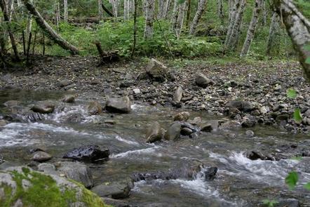 Coal Creek Group Camp