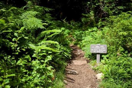 Sol Duc Hot Springs Resort Campground
