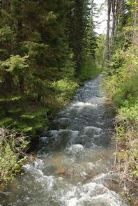 Mineral Springs Group