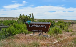 Buffaloberry Campground