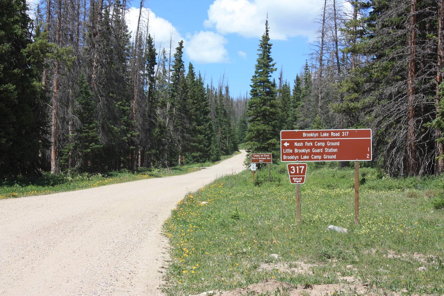 Little Brooklyn Lake Guard