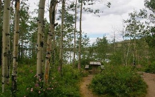 Narrows Campground