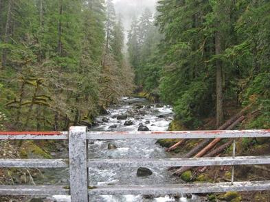 Ohanapecosh Campground