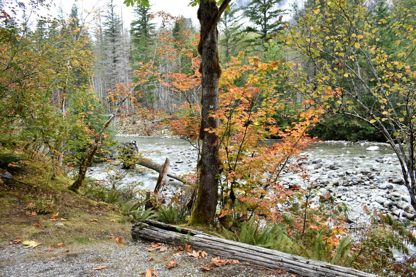 Lower Goodell Group Campground