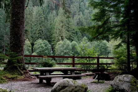 Mineral Park Campground