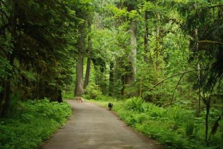 North Fork Beaver Group Camp