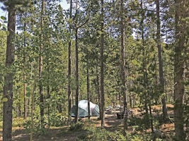 Cottonwood Campground