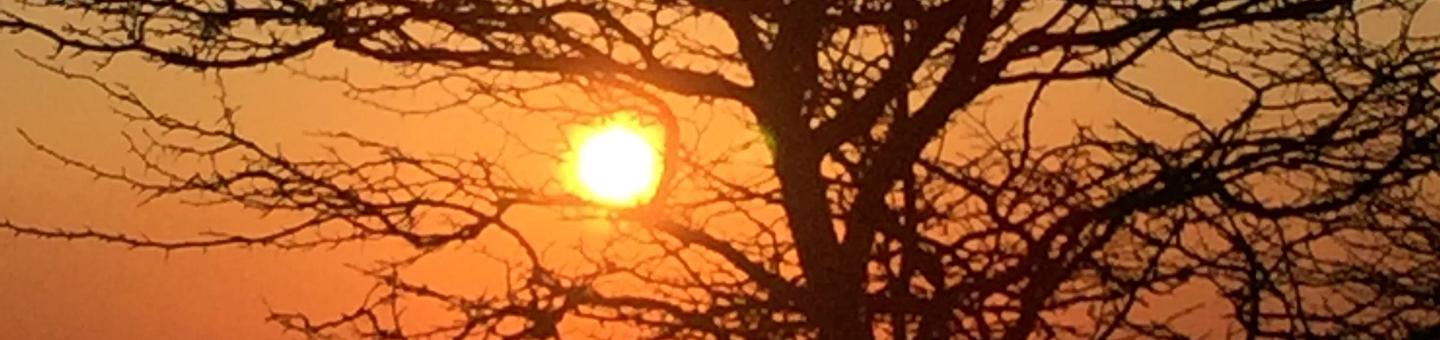 Middle Mountain Cabins