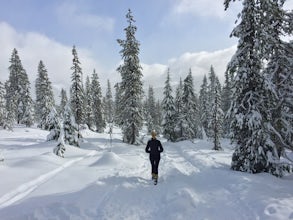 Snowshoe Pacific Crest Trail at White River West