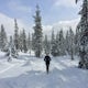 Snowshoe Pacific Crest Trail at White River West