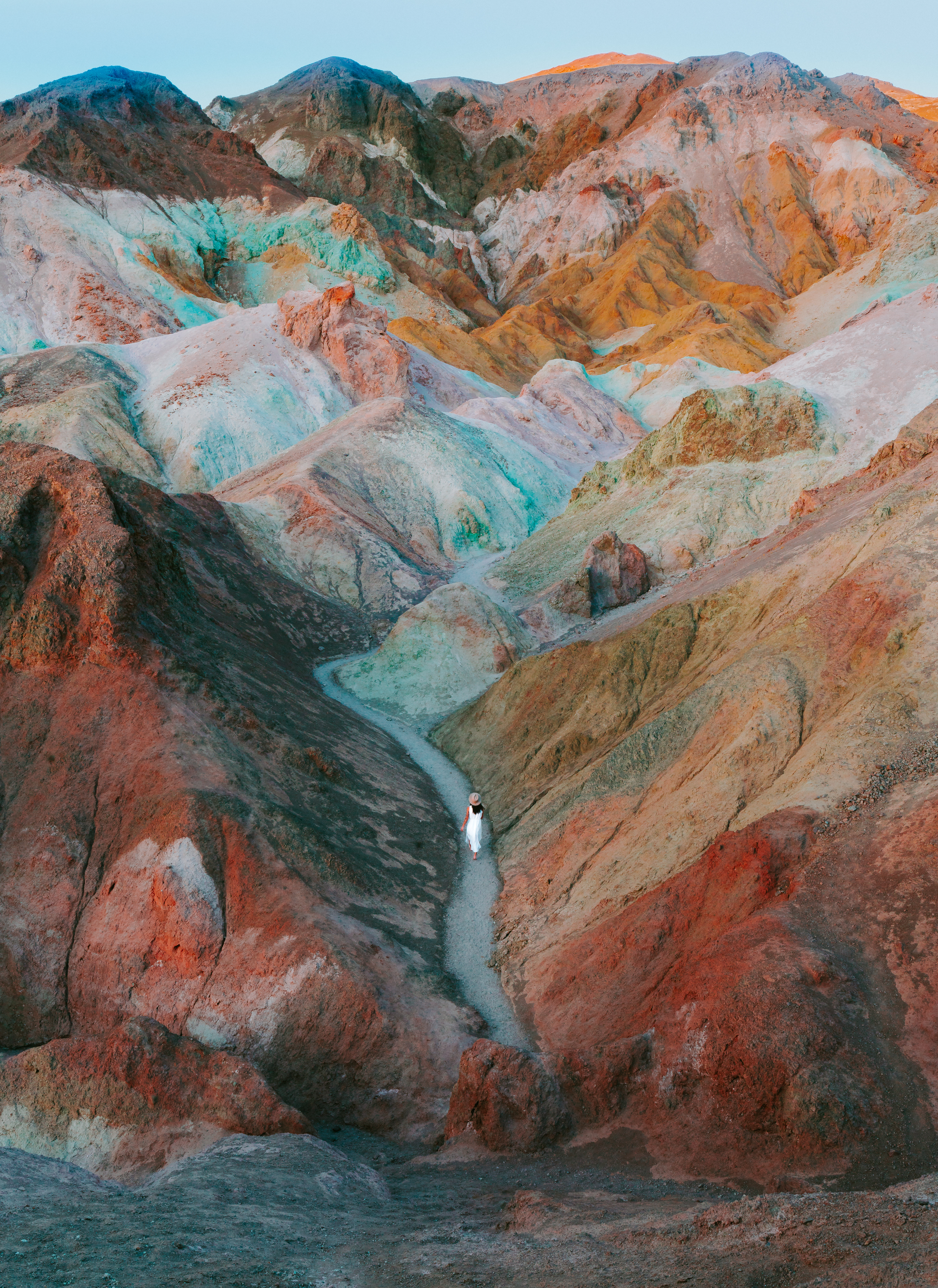 Artist's Palette