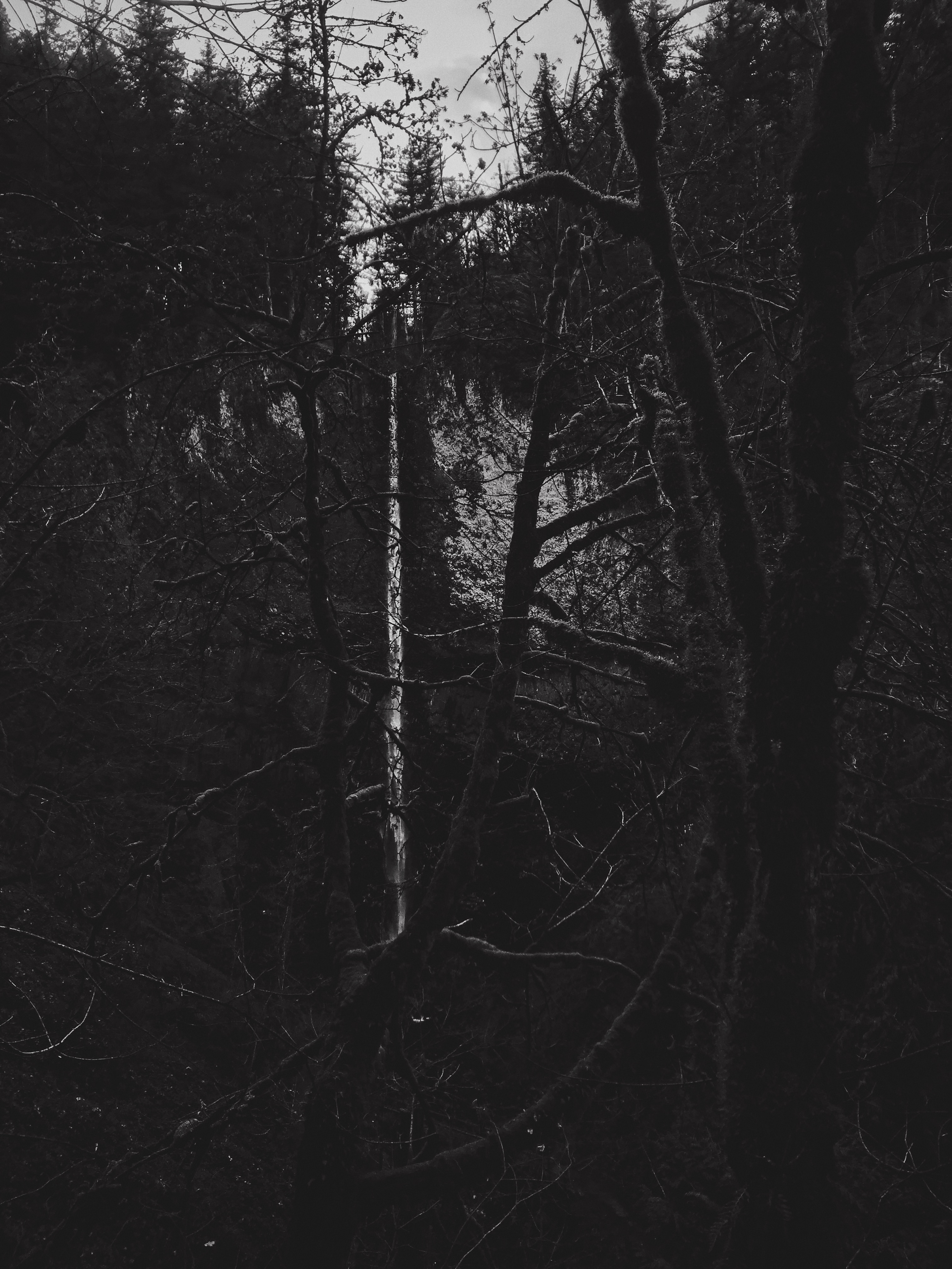 Latourell Falls Loop