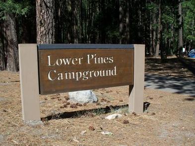 Lower Pines