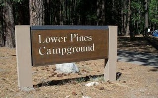 Lower Pines