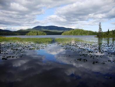 Hasselborg Creek Cabin