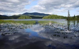 Hasselborg Creek Cabin