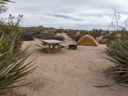 Cottonwood Campground (Ca)