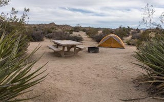 Cottonwood Campground (Ca)